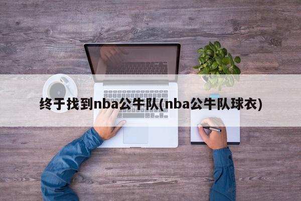 终于找到nba公牛队(nba公牛队球衣)